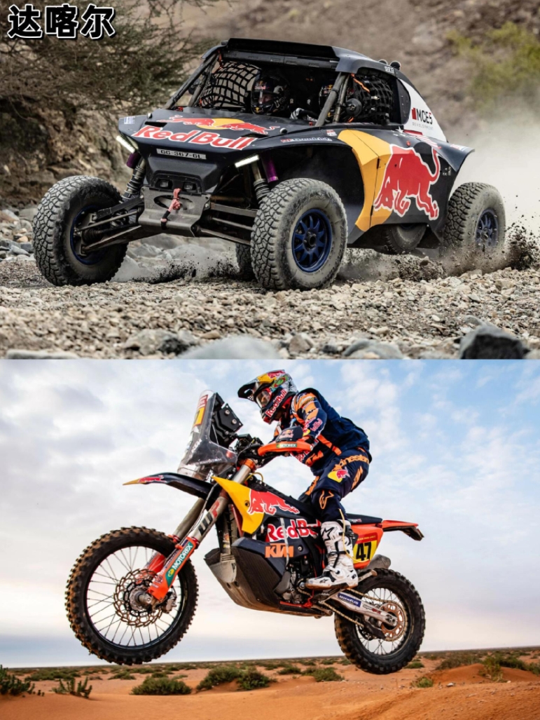 关于红牛二队力克索伯车队，诺里斯统治全场的信息